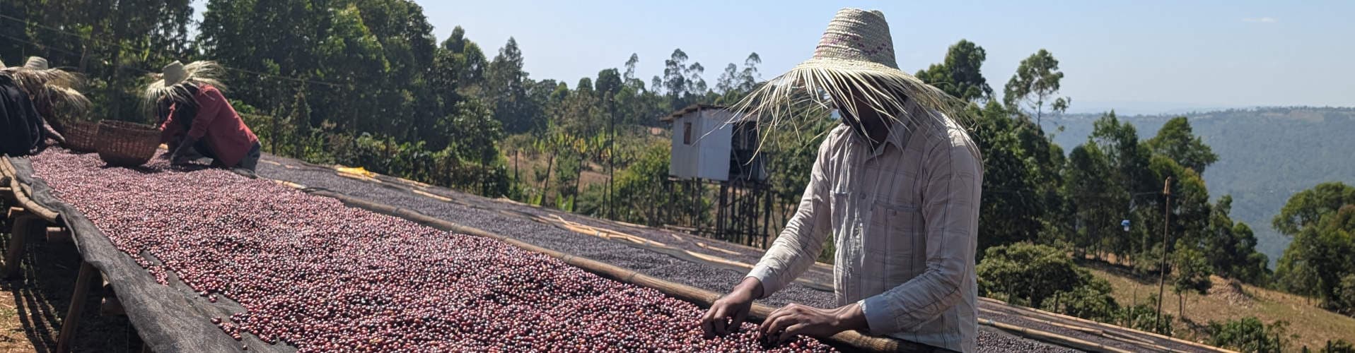 Exceptional Specialty Coffee